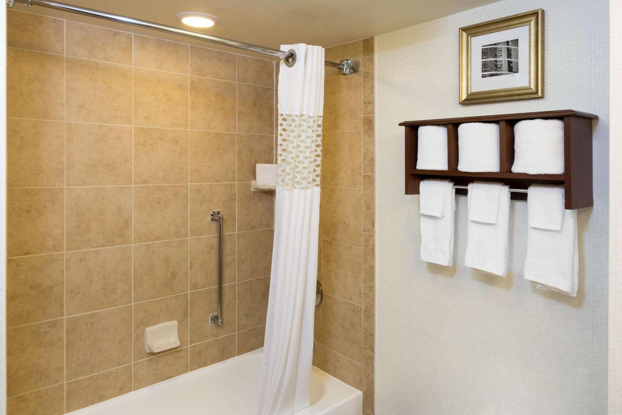 Hampton Inn Houston Near The Galleria Exterior photo