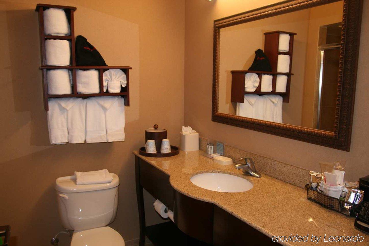 Hampton Inn Houston Near The Galleria Room photo